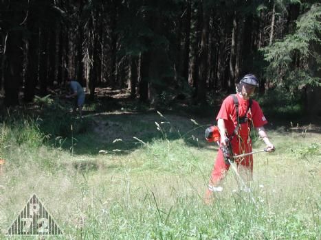 Všemi oblíbené práce na pozemku.
